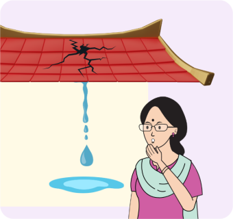 One day, our house roof broke. It was very old, so, cracks had appeared on it. It had to be repaired immediately, or pigeons would enter the house.